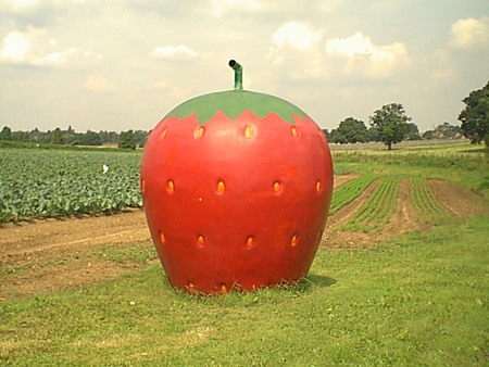 Big